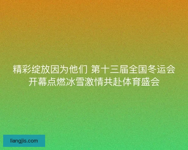 精彩绽放因为他们 第十三届全国冬运会开幕点燃冰雪激情共赴体育盛会